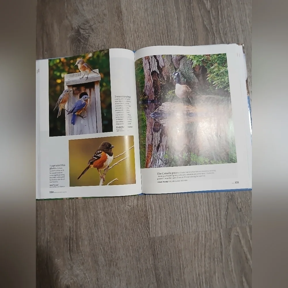 'Birds in Every Season' Book - By Birds And Bloom. 300+ Bird Photos.